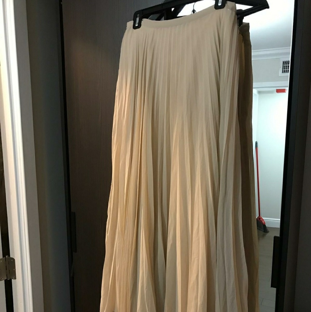 Long pleated skirt